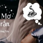 Điềm báo giấc chiêm bao thấy rắn là tốt hay xấu?