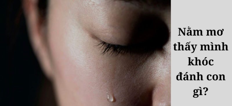 Giải Mã Ngủ Mơ Thấy Mình Khóc – Đánh Đề Con Gì Dễ Trúng Nhất? Ngủ Mơ Thấy Khóc Không Ngừng – Con Số May Mắn Là Gì?