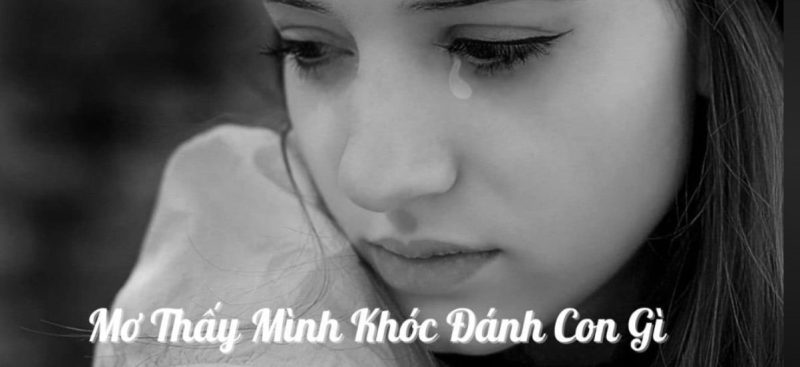 Giải Mã Ngủ Mơ Thấy Mình Khóc – Đánh Đề Con Gì Dễ Trúng Nhất? Những con đề khác liên quan đến giấc mơ thấy mình khóc
